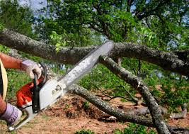 Best Storm Damage Tree Cleanup  in Eagle Lake, FL